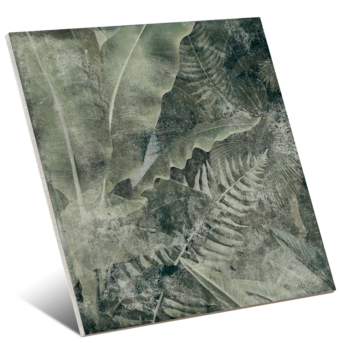 Amazonia 25x25 ( caja 1m2) 6