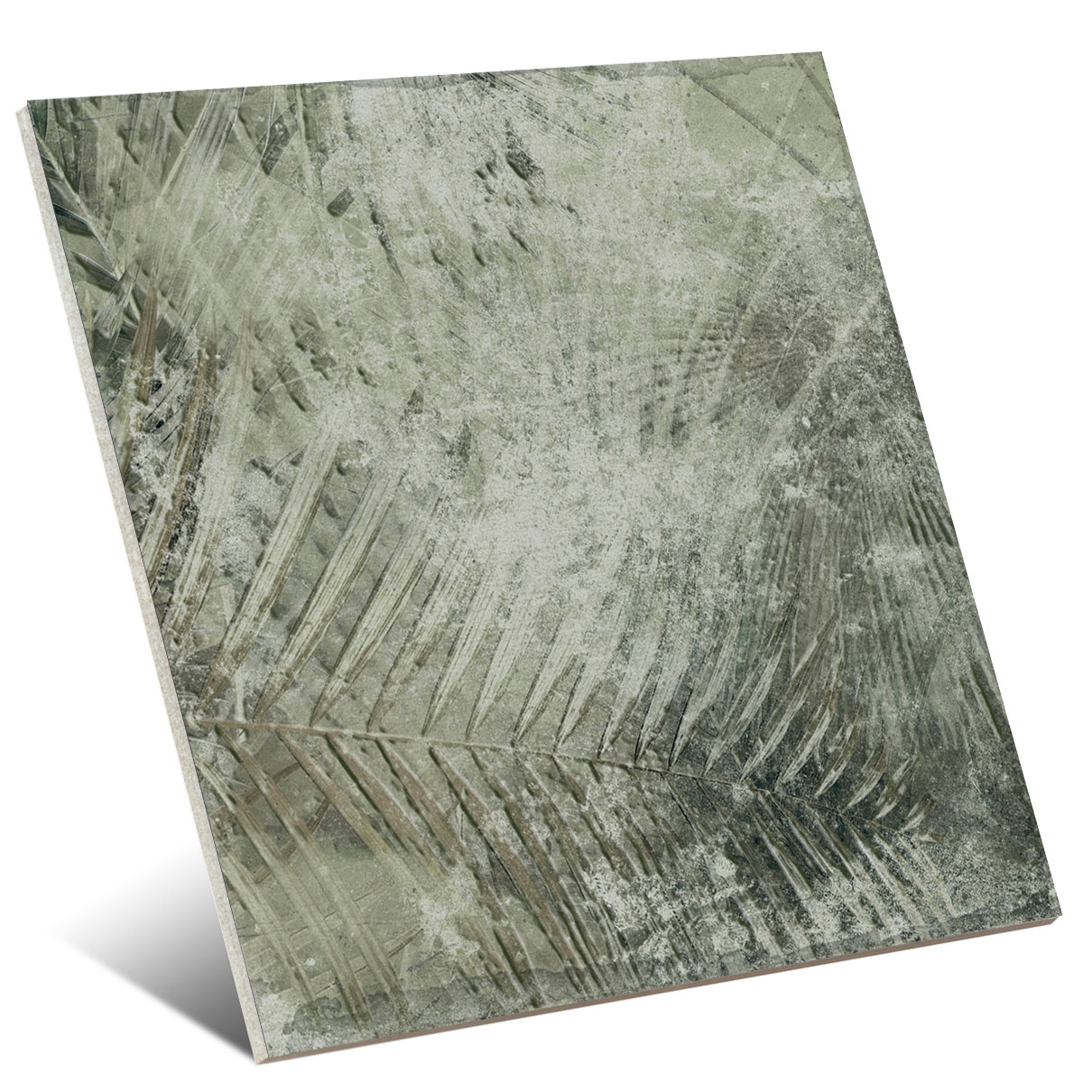 Amazonie 25x25 (boîte 1m2) 7