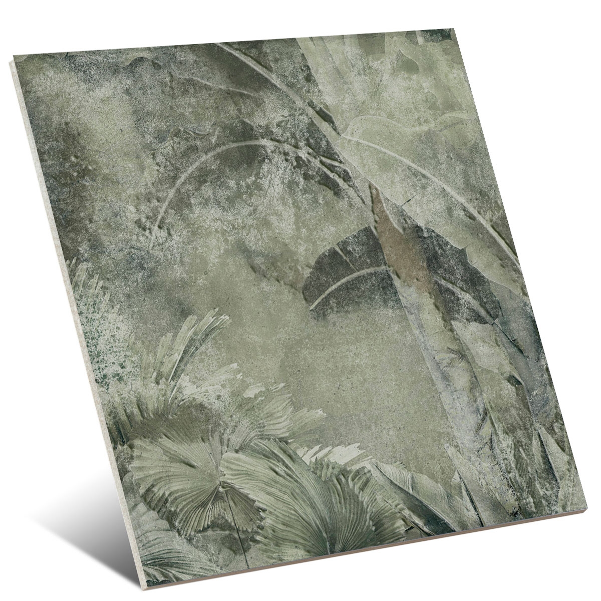 Amazonia 25x25 ( caja 1m2) 5