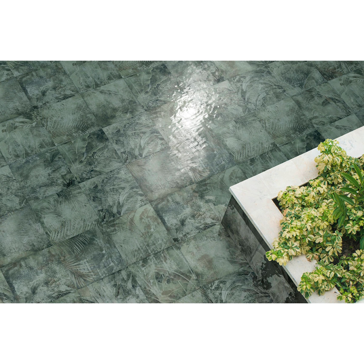 Amazonia 25x25 ( caja 1m2) 8