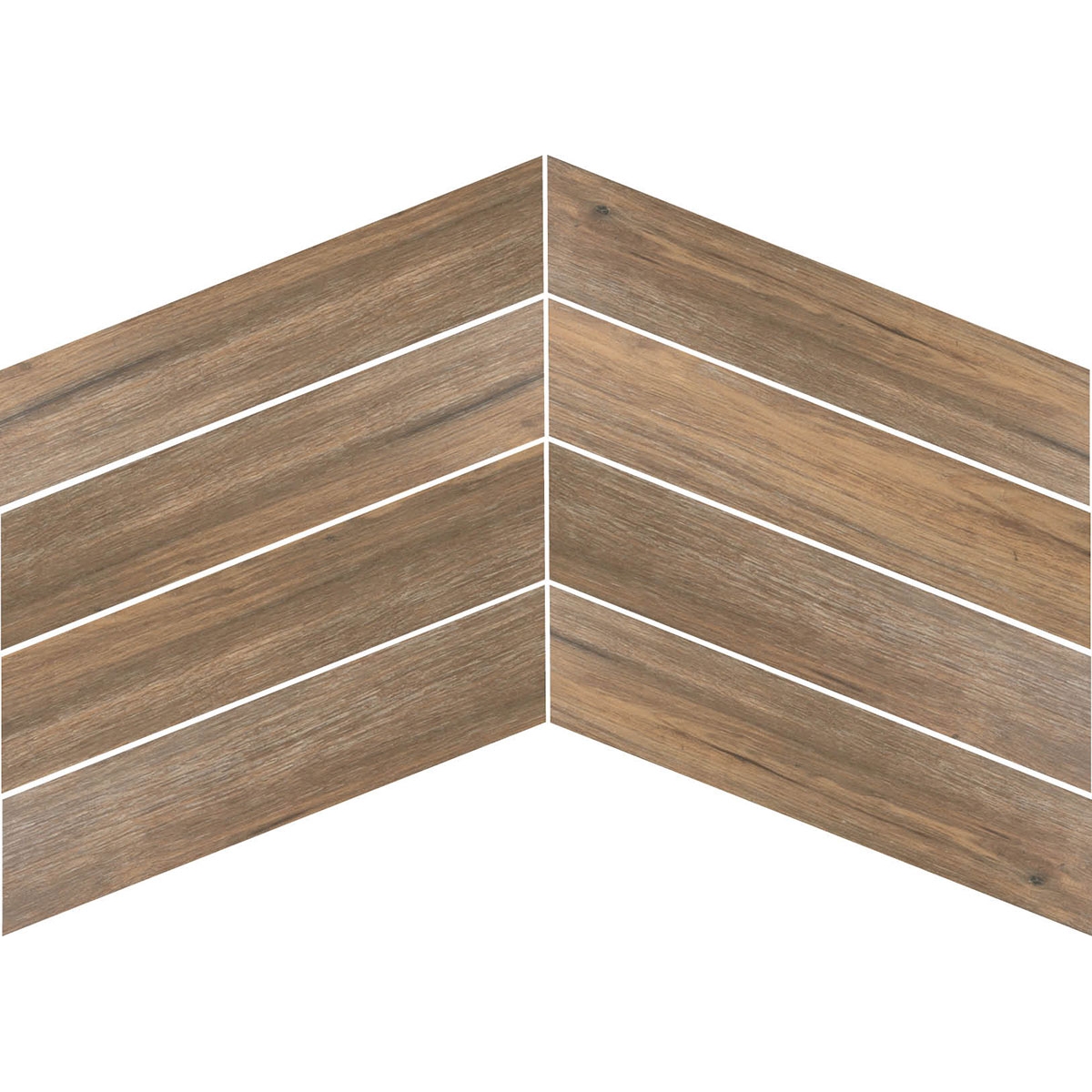 Toratto-Noyer-Navarti-8x40-1