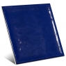 Bonny-Blue-Navarti-Straight-Gloss