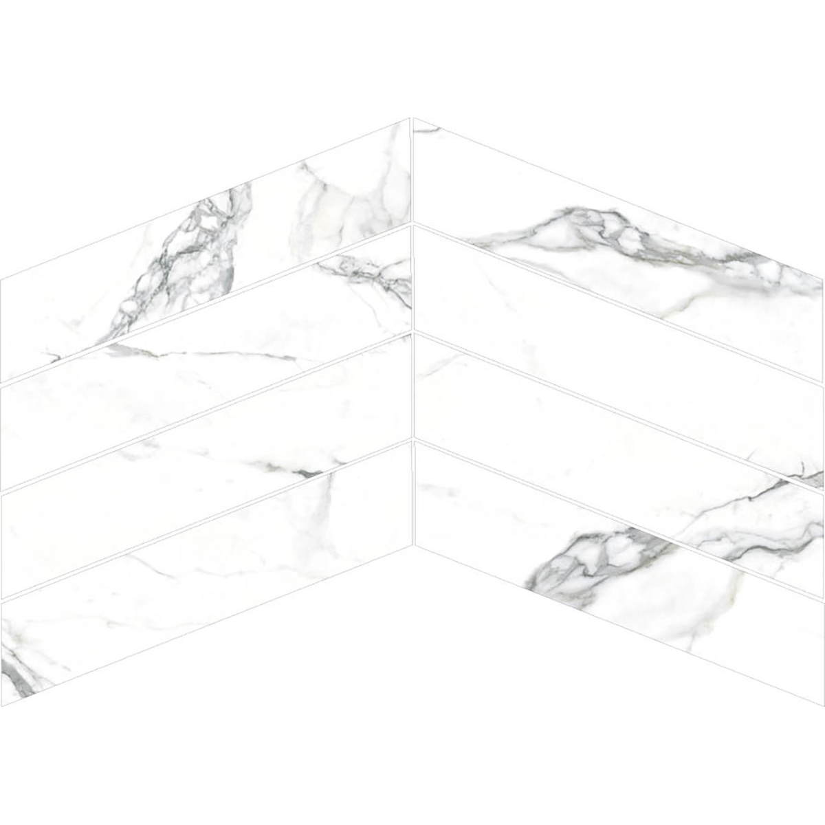 Sanva-Navarti-Longo-1