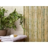 Amb-Bamboo-Green-Mainzu3
