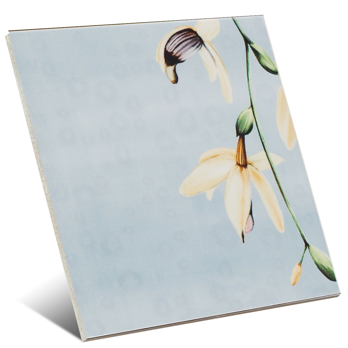 Decor-Tikida-Mainzu4