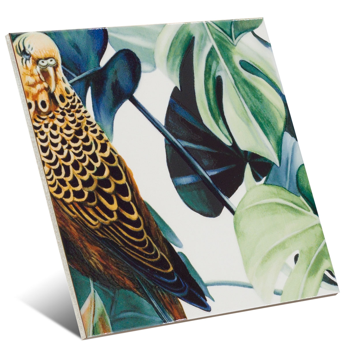 Decor-Tikida-Mainzu2