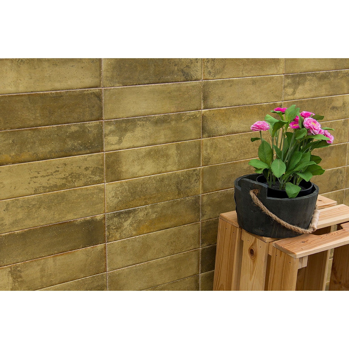 Amb-Brunei-L25-MijaresyCerlat-Manga-1