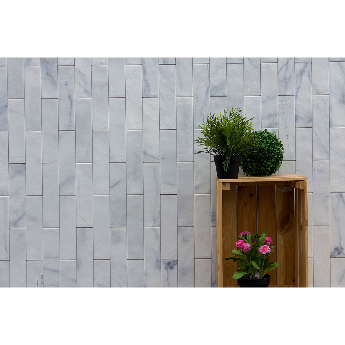 Amb-Corso-L25-MijaresyCerlat-2