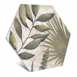 Caprice Hex Green 22,5 x 25,9 (Schachtel mit 0,88 m²)