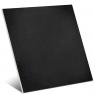 Barnet-Black-World-Park-Vives