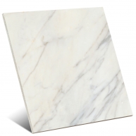 Calacatta-Slow-Ape-120x120