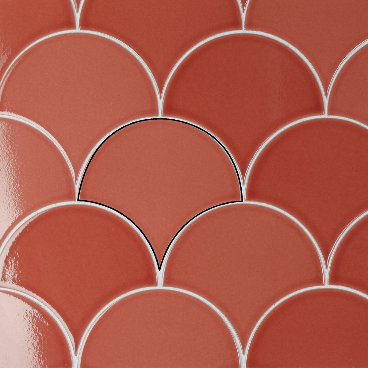 Flocons-Corail-Dynamique-APE-5