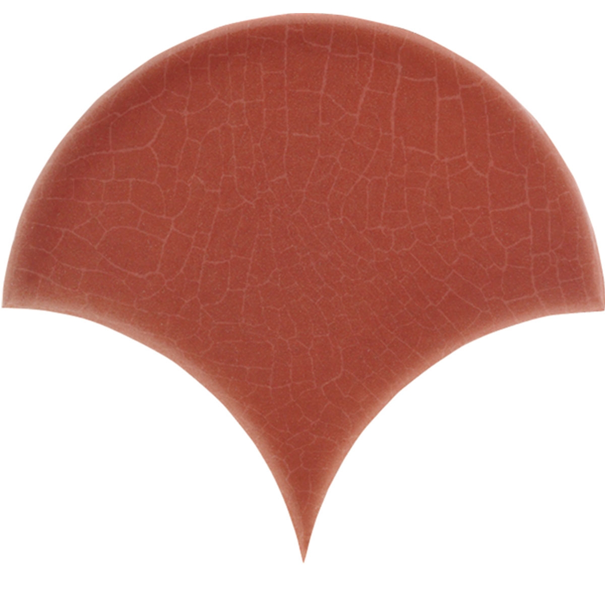 Scales-Dynamic-Coral-APE-2