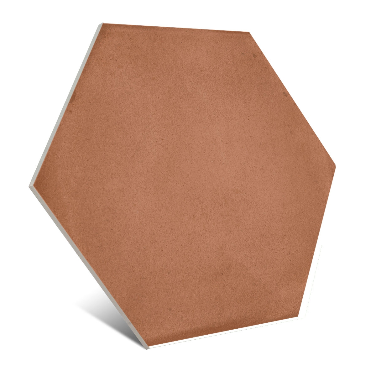 Hexagon-Lehm-Lachs-25-APE-2