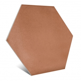 Hexagon Clay Salmon 17.5X20.2 cm (Box of 0.5m2)