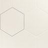 Hexagon-White-APE-2