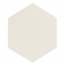 Hexagone-Blanc-APE-1
