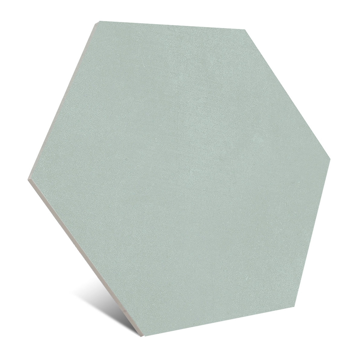 Macba-Paládio-APE-2