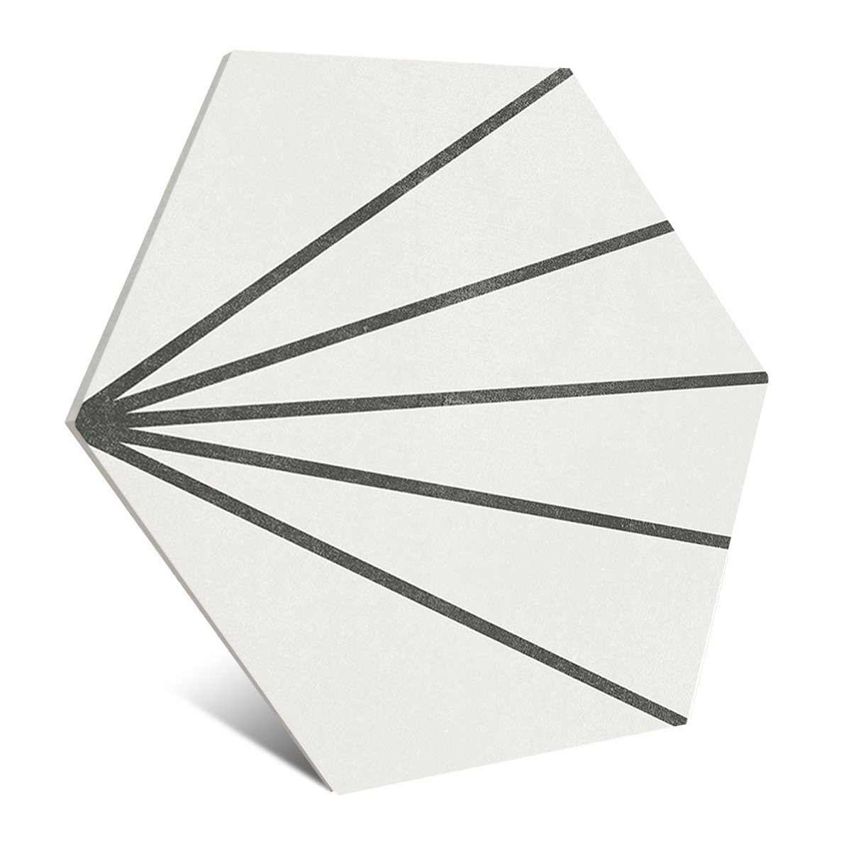 Sunny-Coconut-Milk-APE-2