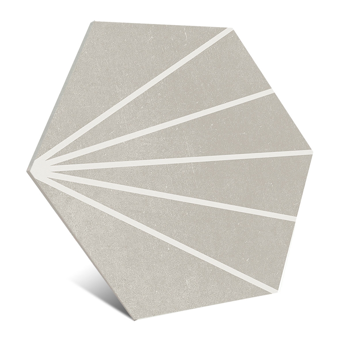 Gris ensoleillé -APE-2