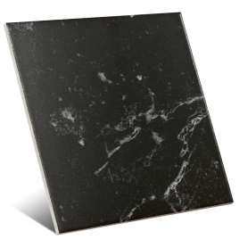 Foto de Windsor Marquina 15x15 (m2)