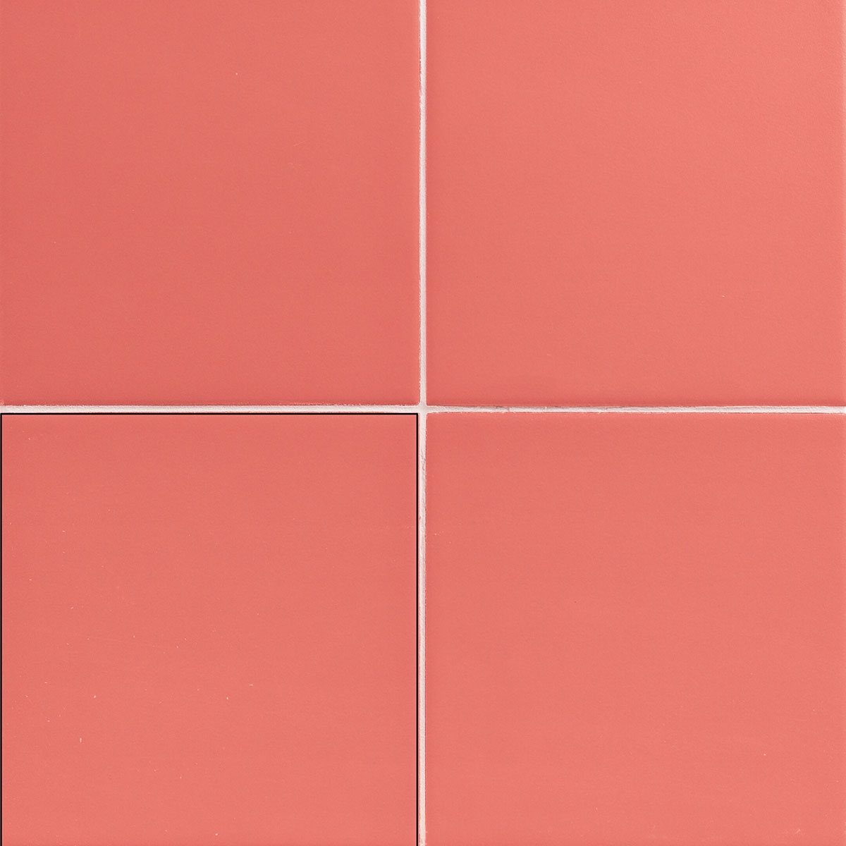 Mambo-Corail-Carré-APE-2