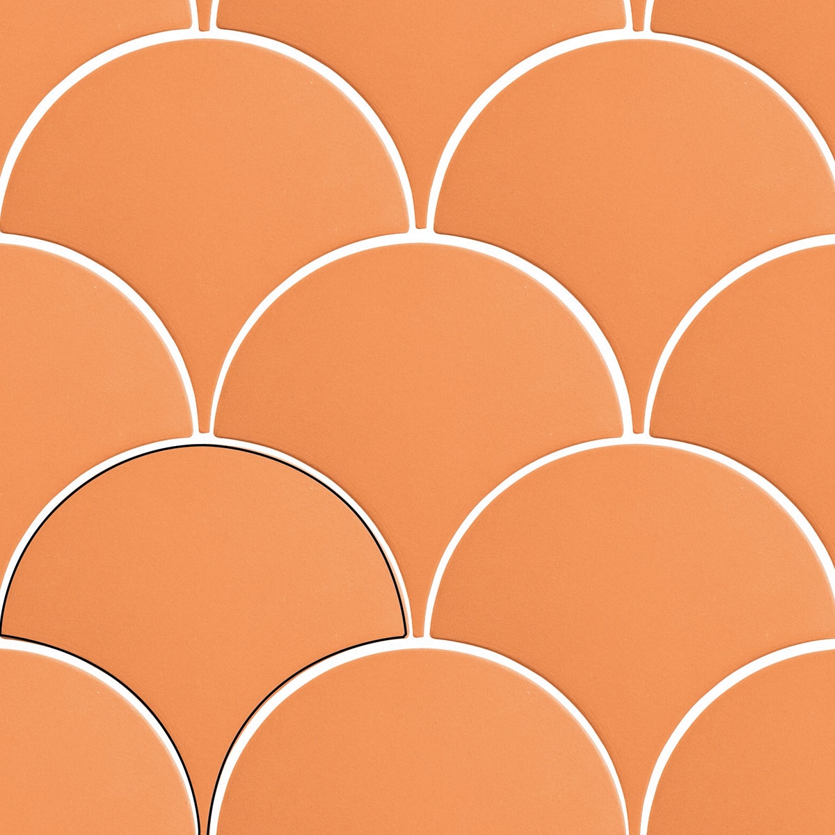 Écaille-Mambo-Orange-APE-2