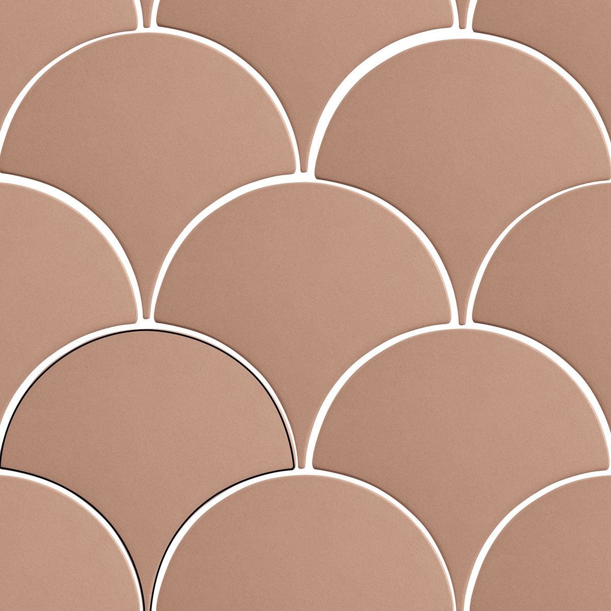 Escala-Mambo-Terra-APE-2