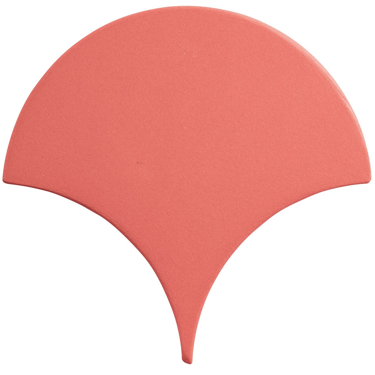 Scale-Mambo-Coral-APE-1