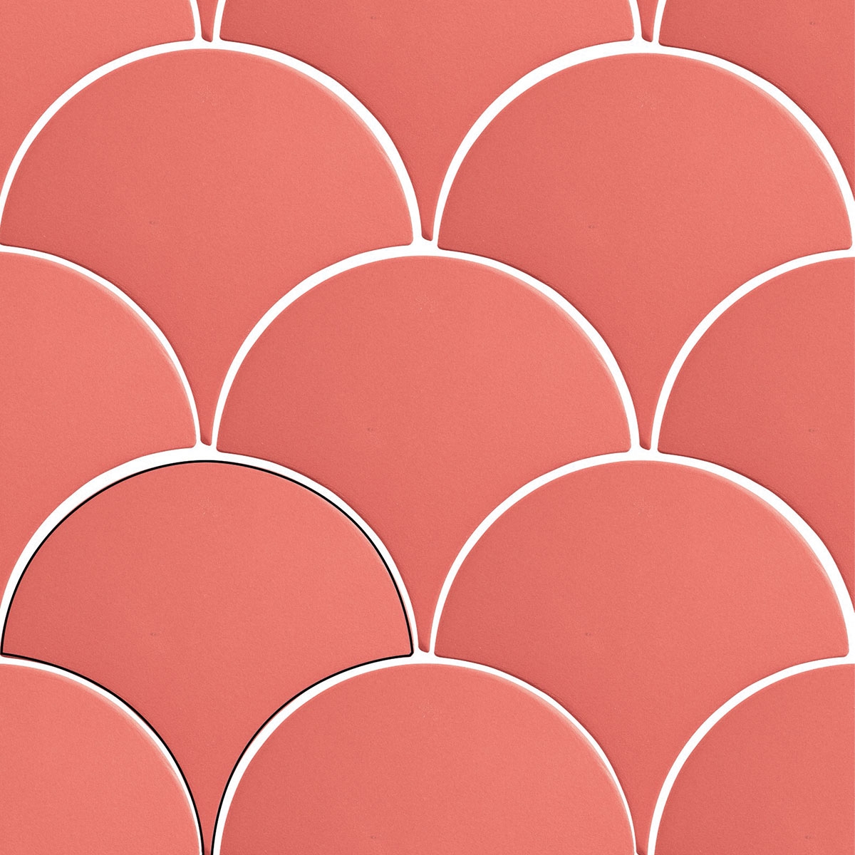 Écaille-Mambo-Corail-APE-2