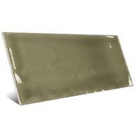 Memórias-Vitoriana-Verde-APE-1