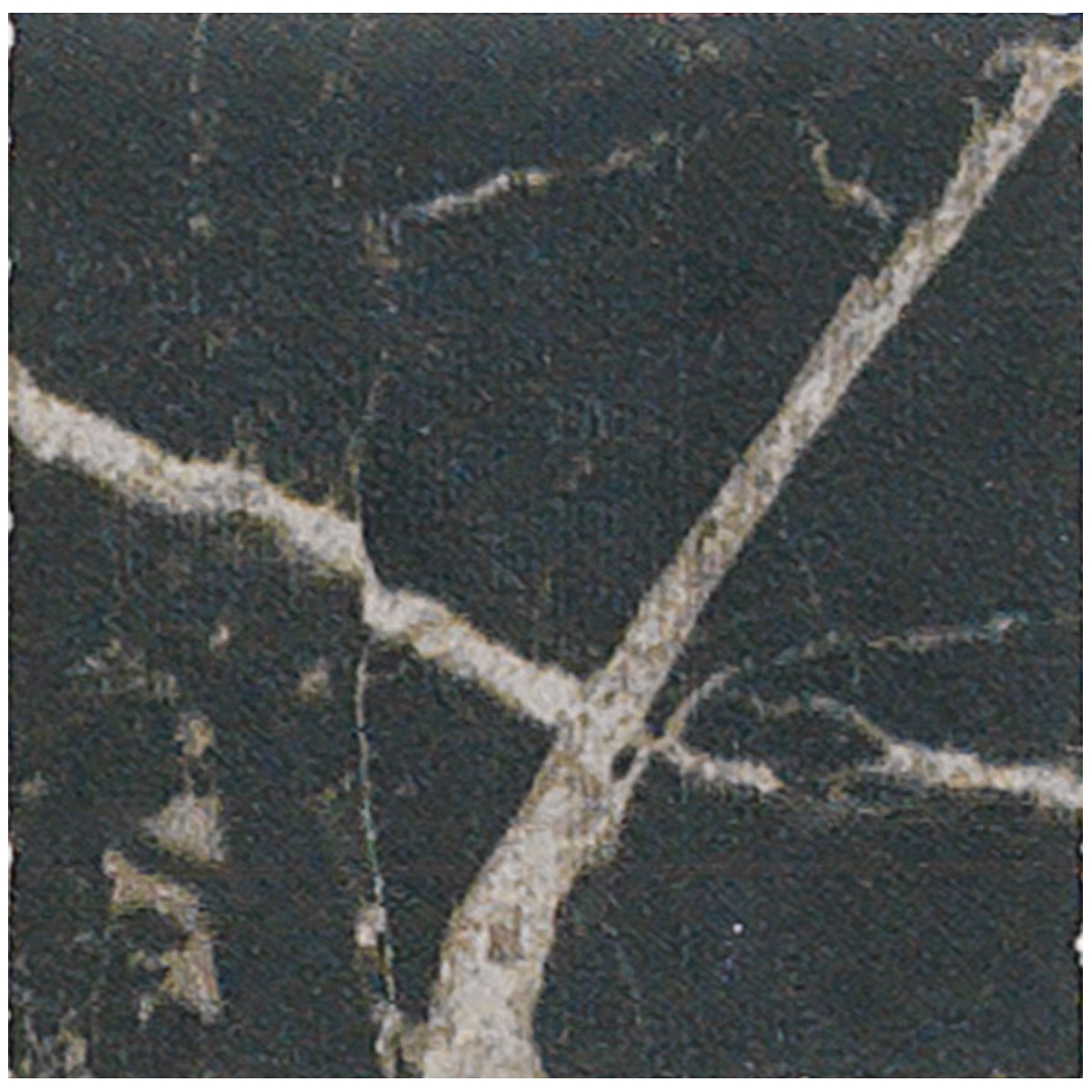 Taco-Firenze-Noir-APE-1