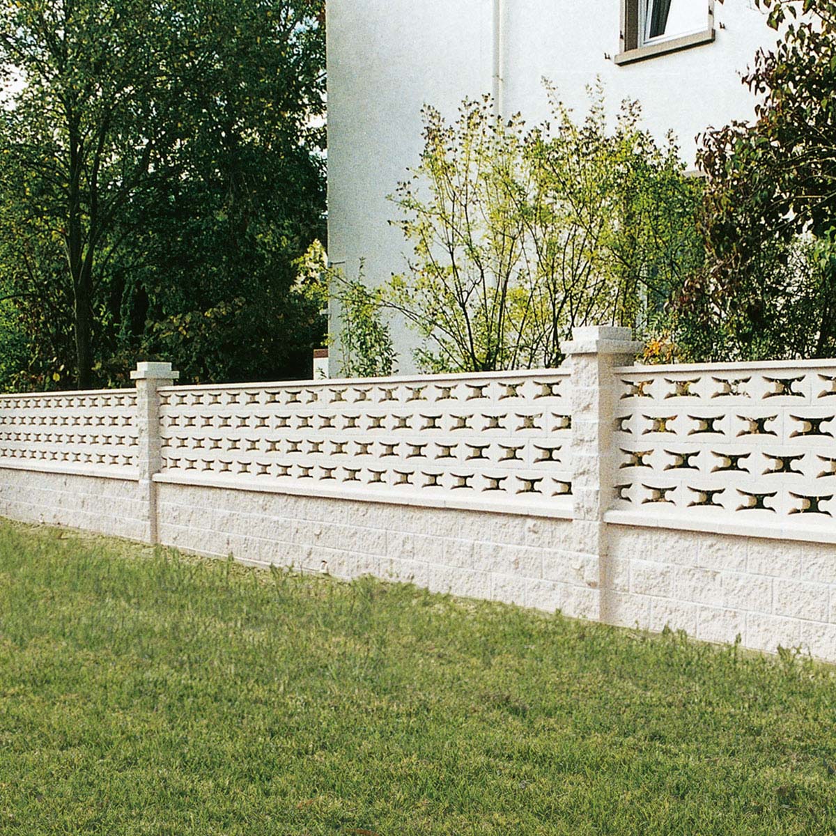 Gitter-Schmetterling-2