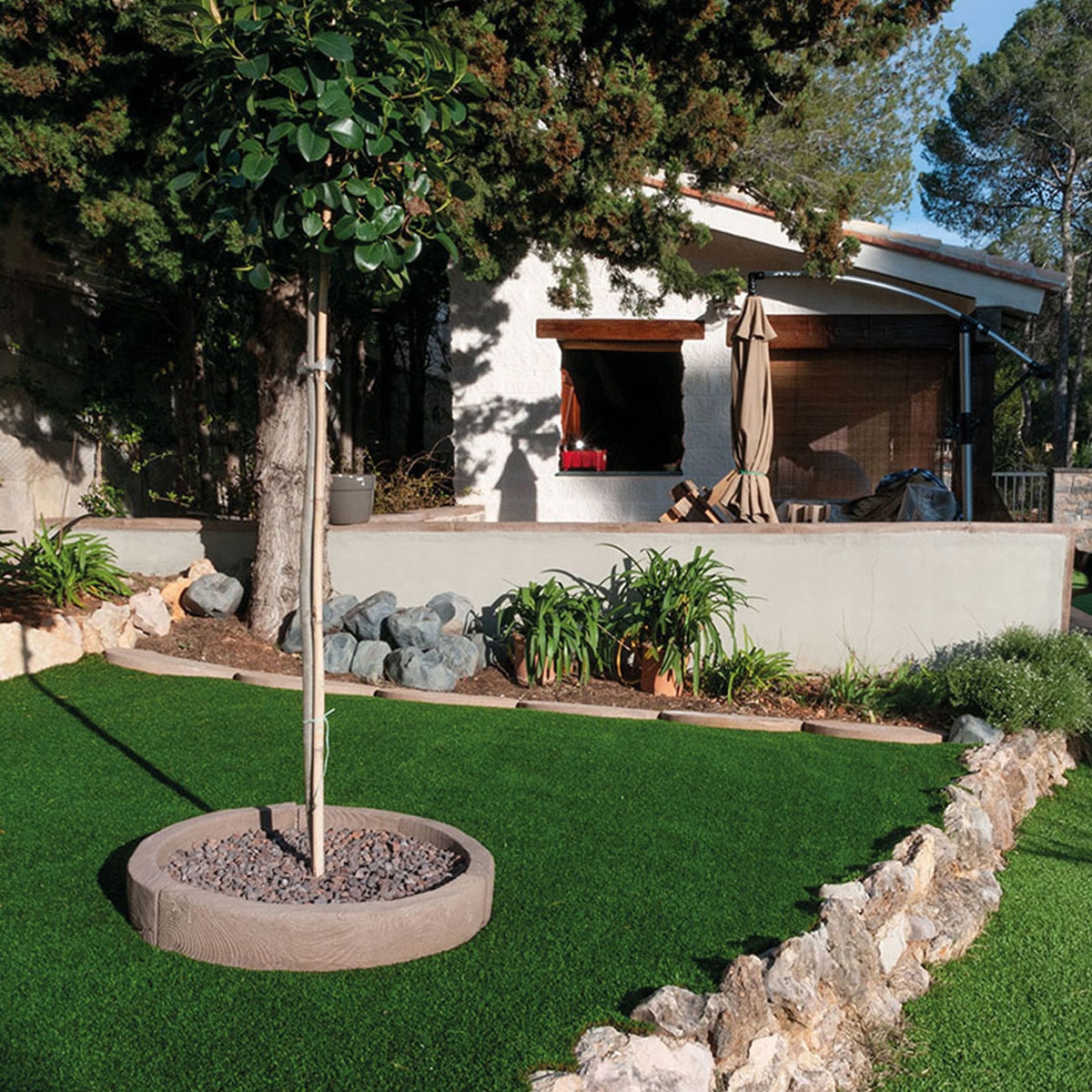 Poço de árvore-selva-5