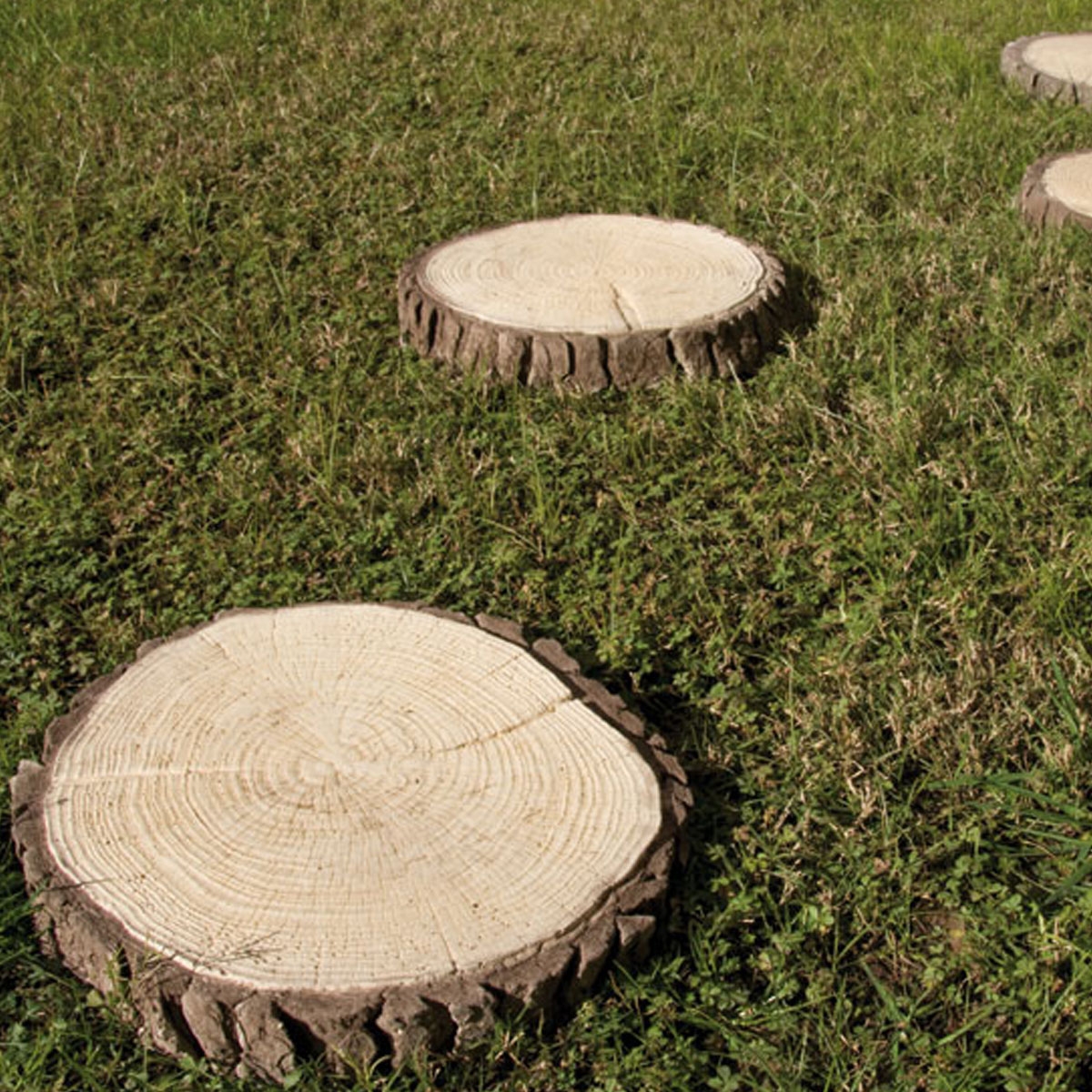 Médaillon-Paso-Japonais-2