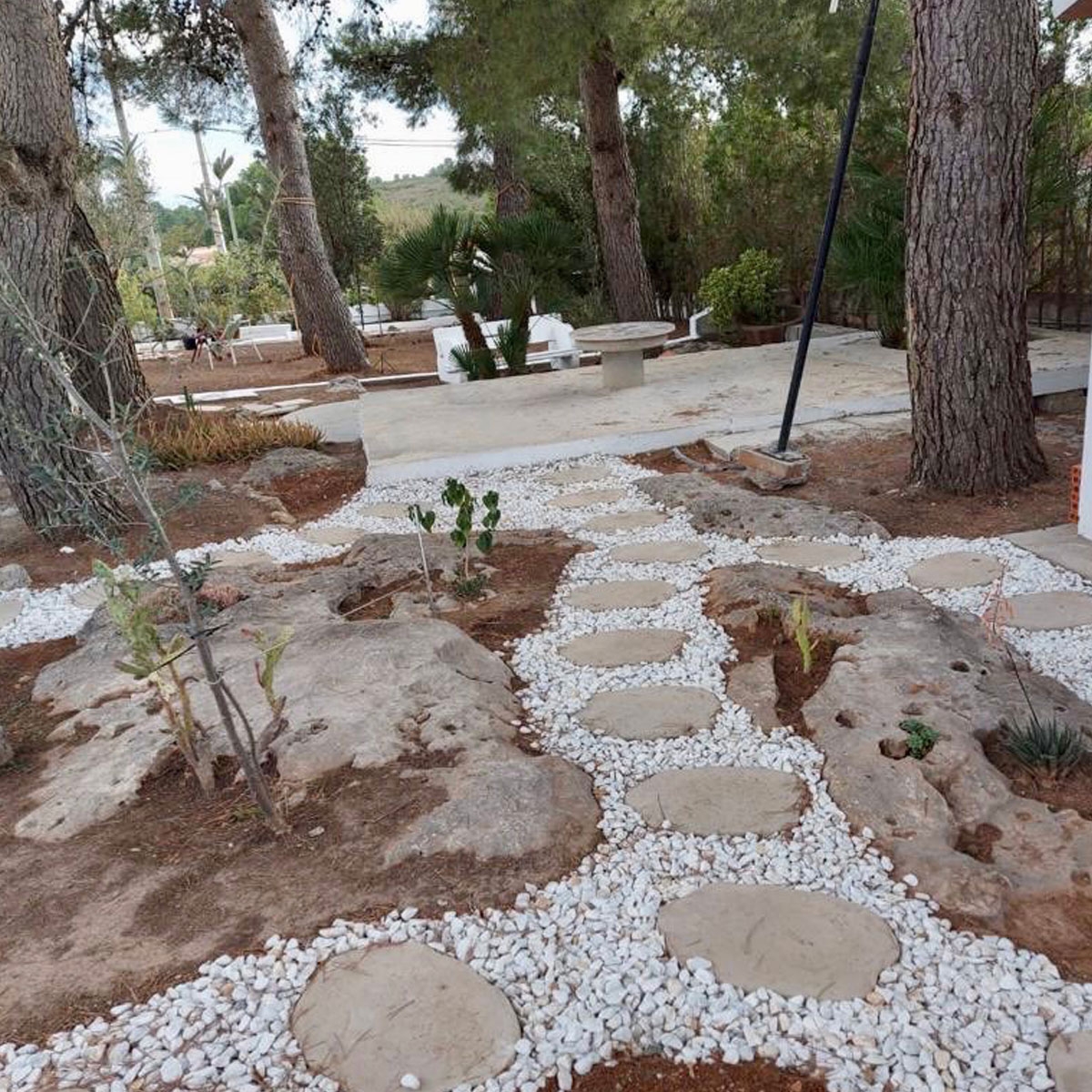 Paso-Japonês-Tofu-2