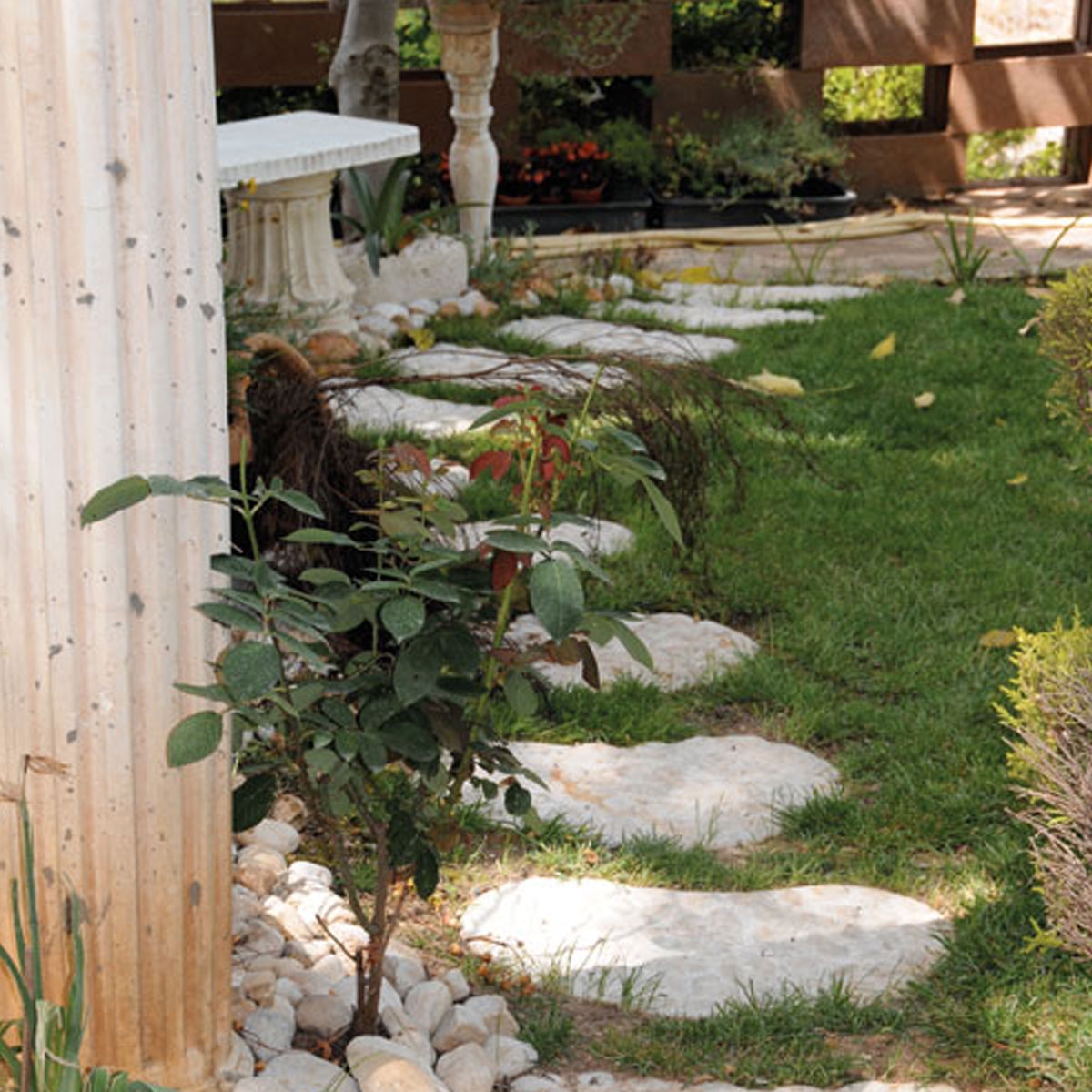 Paso-Japanisch-Sushi-4