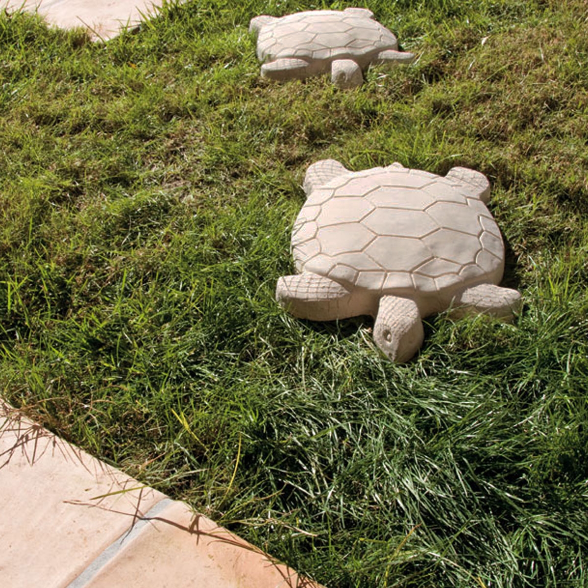 Turtle-Footprint-Mark 2