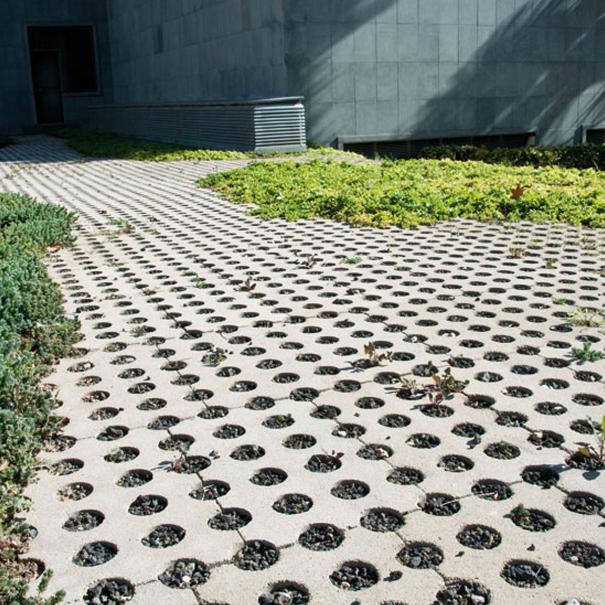 Oasis-Lattice-Garden-11