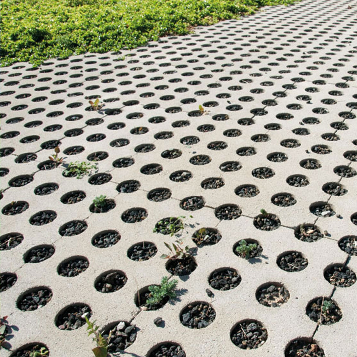 Oasis-Lattice-Garden-12