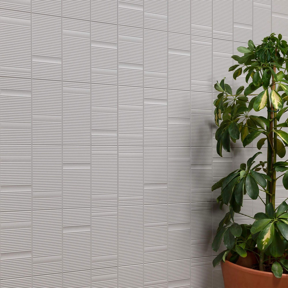 Amb-Beat-Silber-Harmony-2