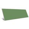 Zepto-Vert-4-Vives