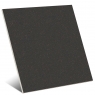 Micra-Graphite-20-Vives
