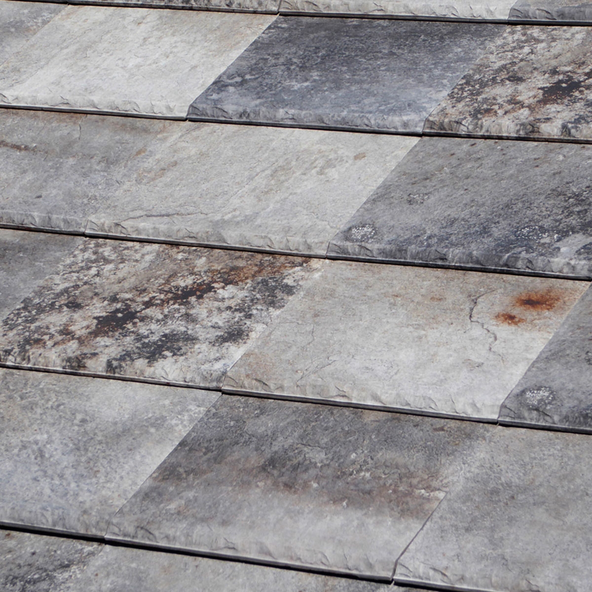 Flat-5-XL-Austin-TejasBorja