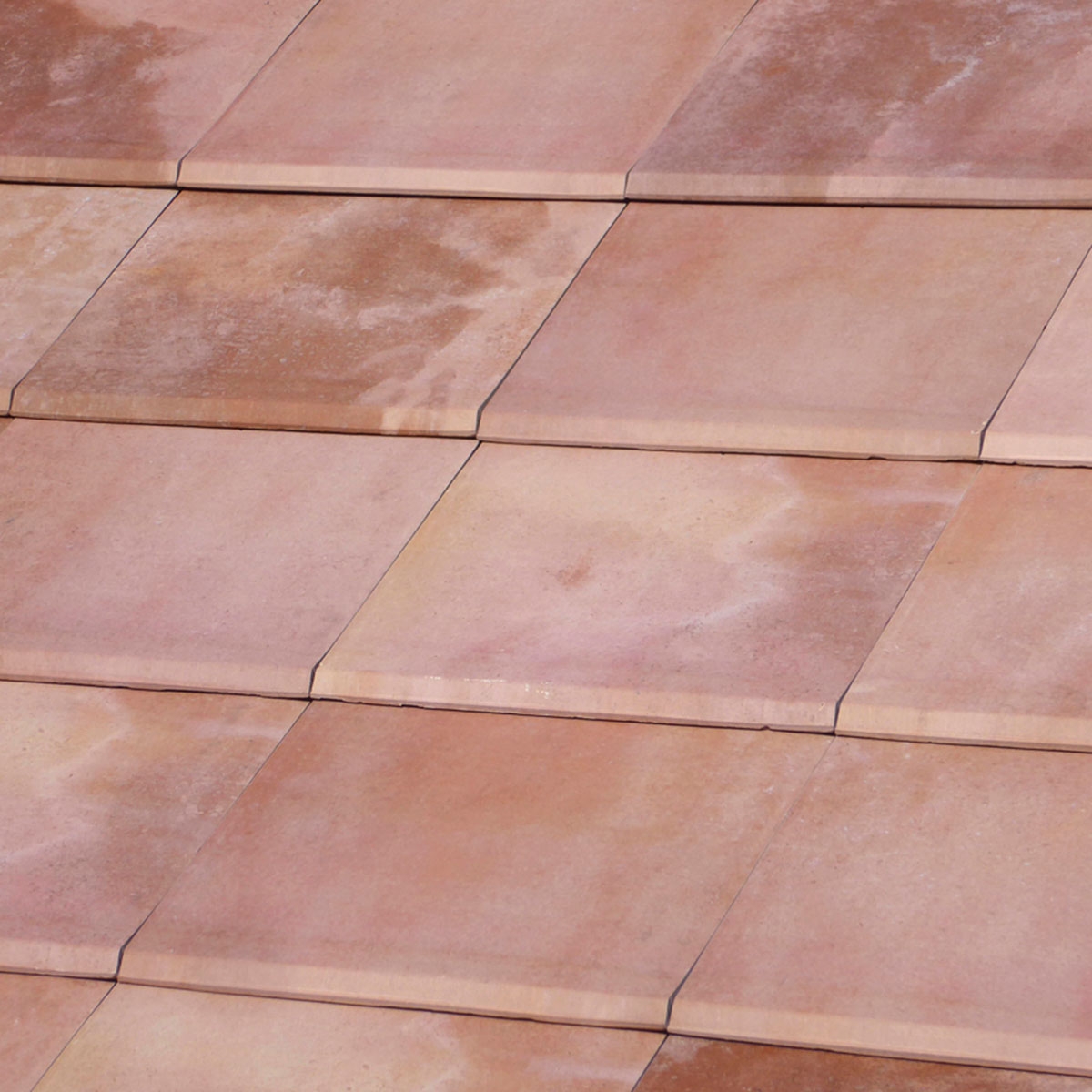 Flat-5-XL-Ibiza-Rose-TejasBorja