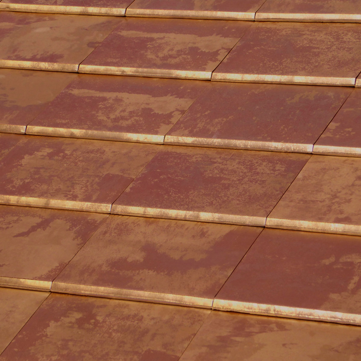 Flat-5-XL-Tokyo-Copper-TejasBorja