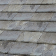 Flat-5-XL-Green-Irish-TejasBorja