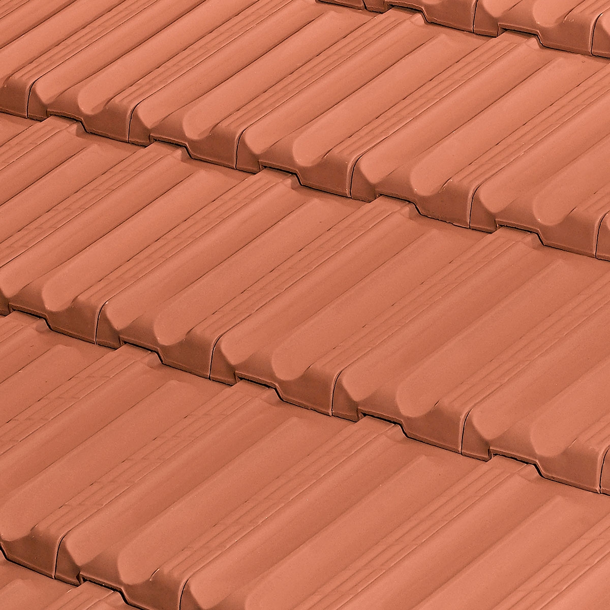 Alcantina-12-TejasBorja-4