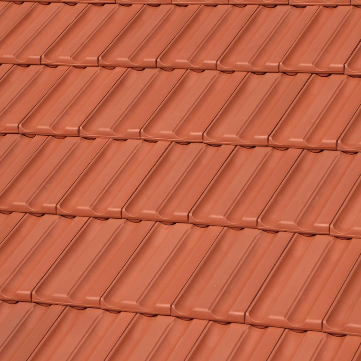 Teja-Technica-10-Roja-Nature-2