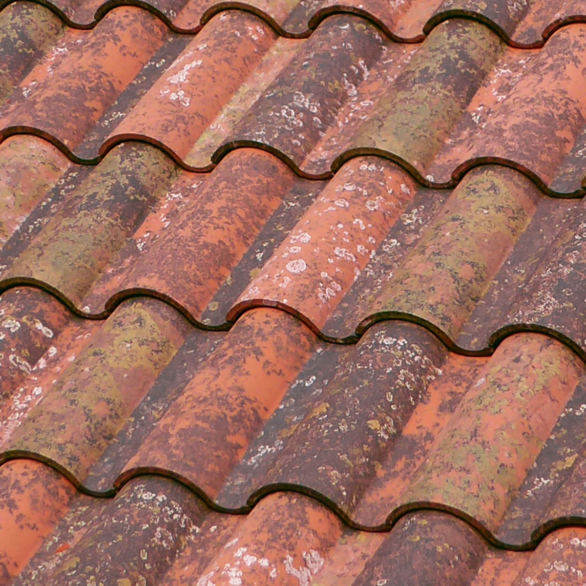 teja-mixta-tb-10-tech-irati